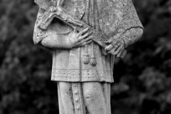 20090626_1786152574_nepomuki_szent_janos_feketefeherben