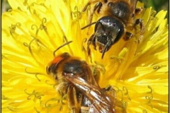 20090626_1799170164_osztozkodunk