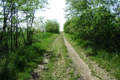 20090626_1870490545_fogacsi_ut