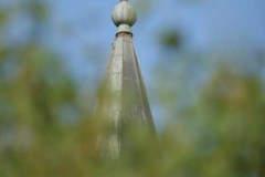 20090626_1882001186_barna_a_zoldben