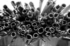 20090626_2035668556_nadteto