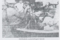 tortenet15_20070909_1656216047