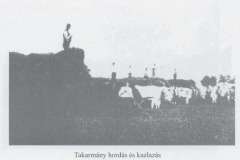 tortenet19_20070909_1271237418