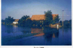 tortenet5_20070908_1310513934