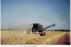 tortenet6_20070908_1353529113