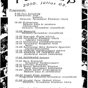 Falunap 2010.