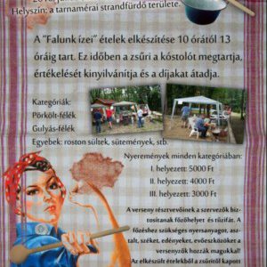 Falunapi főzőverseny