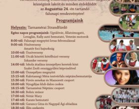 Tarnaméra Falunap 2013.