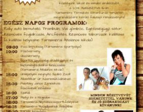 Falunap 2014.