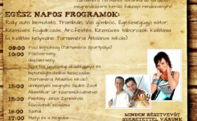 Falunap 2014.
