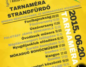 Falunap 2015.