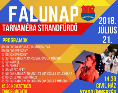Falunap 2018